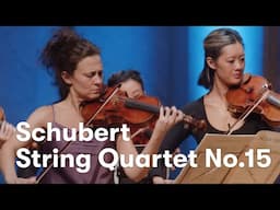 Schubert: String Quartet No. 15 in G-major, I. Allegro molto moderato