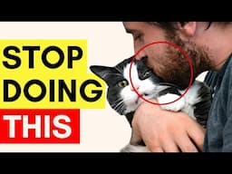 5 SHOCKING Reasons Your Cat Won't Cuddle + How To Fix It