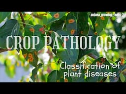 Classification Of Plant Diseases | Crop Pathology |  MSc | BSc