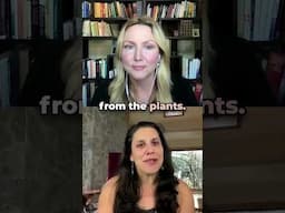 Dr. Maya Shetreat shares how quantum dosing taps into the vibration of psychedelic plants without...