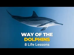 Wisdom of Dolphins - 8 Powerful Lessons for Life