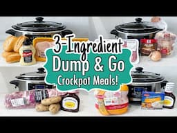 6 EASY Dump & Go Crockpot Dinners | Super Simple 3-Ingredient Slow Cooker Recipes | Julia Pacheco