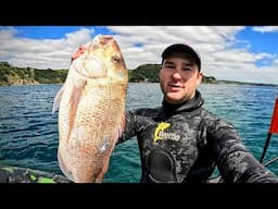 Sneaking up on Big Snapper | Spearfishing New Zealand