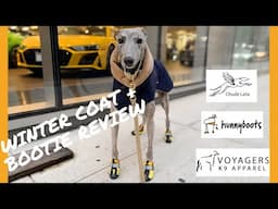 HOW TO KEEP YOUR DOG WARM IN WINTER | BEST WINTER COATS AND SHOES / BOOTIES | GREYHOUND WINTER COATS