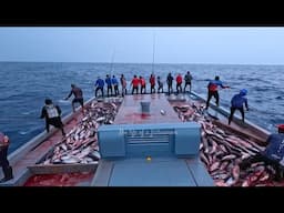 Tuna on Fire: How to Catch Skipjack Like a Pro🎣