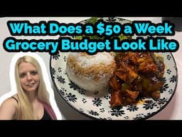 $53 Grocery Haul for 3 Adults • Realistic Budget Cooking • Dinner Ideas