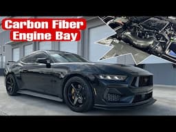 Dressing Up My 2024 Mustang Engine Bay In Carbon Fiber