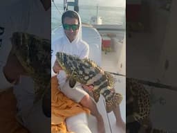 Bridge Fishing For Goliath Grouper!