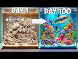 Simulating a Tide Pool for 100 Days