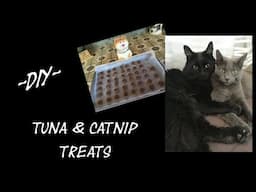 DIY Cat Treats - Tuna & Catnip - SIMPLE & EASY!