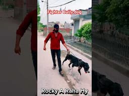 Rocky Jald Wapsi Aye Ga❤️ #doglover #shehrmedihat #petsvlog