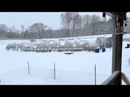 Hydroponic Farm during the snowstorm.