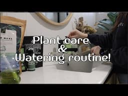 POV you are watching my watering and plant care routine. ASMR style!