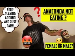 MY ANACONDA DON'T...........Want To Eat...