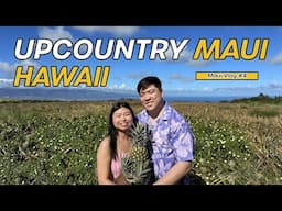 Things To Do in Upcountry Maui, Hawaii | Pineapple, Tea, & Alpaca Tour | Makawao | Mama's Fish House