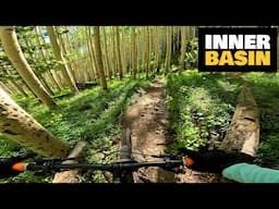 This Place Is Unreal | San Francisco Peaks Inner Basin Trail | Mountain Biking Flagstaff Arizona