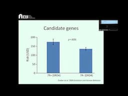 MWP Lecture with prof. Anna Dreber Almenberg, 8 January 2025