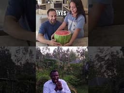 😂 #funny #watermelone 😂😂 #watermelon 😂😂 #challenge