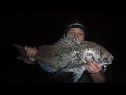 My Kapiti Coast Summer Surfcasting Adventures. (So Many Fish!)