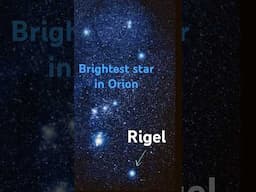 Rigel is the 7th brightest star in night sky and located in Orion. #rigel #orion #learnthesky