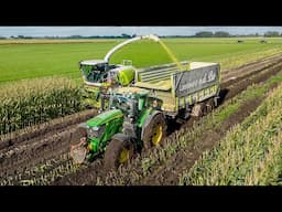 Mais 2024 / Modderen / Claas Jaguar 950 / Van de Put / Mud / Maize silage