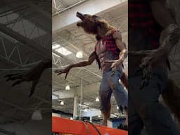 Howling Werewolf At Costco