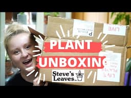 PLANT UNBOXING[STEVES LEAVES REVIEW + HAUL]