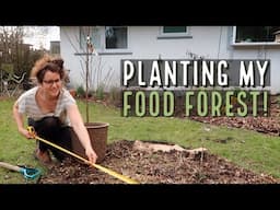 Planting my backyard permaculture food forest 🌳