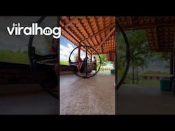 Hanging Chair Fall || ViralHog