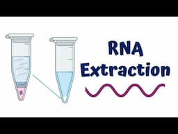 RNA Extraction || Principle and Process