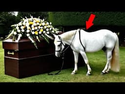 The Horse Kneels In Front Of His Master's Coffin&Refuses To Leave,What Happened Next Is Unbelievable