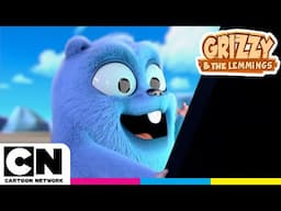 Catturali tutti | Grizzy e i Lemming | Cartoon Network Italia