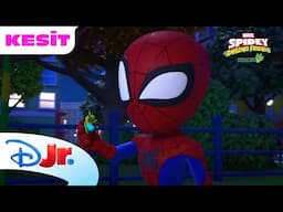 🐝 Elektrik Böcekleri | Marvel Spidey ve İnanılmaz Arkadaşları | Disney Kids Türkiye