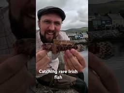 This week I’m in Ireland after red mouth gobies! Full vid on channel #fishing #ireland