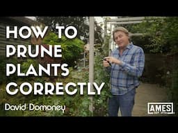 How to prune plants at the right angle