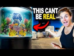 Major News For My New Aquarium!