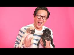 Ke Huy Quan: The Puppy Interview