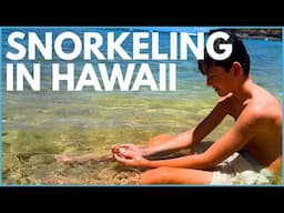 Fishy Friends: Snorkeling Adventure in Hawaii