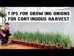 Can Coconut Coir Really Grow Onions? New Tips You Can’t Miss!