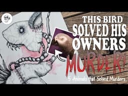 5 ANIMALS that Unintentionally SOLVED MURDERS! || Frankenstein Animal ILLUSTRATION