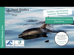 Dolphin and Porpoise Acoustic Monitoring: Discovering Trends in Cetacean Populations