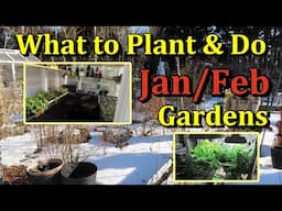 What to Plant in January/February & Garden Chores (Your Monthly Garden E-1)