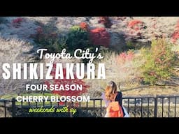 Toyota City’s Shikizakura | Four-Season Cherry Blossom | weekends with sy