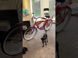 Pee-wee Bike Build DIY pt. 1 #peeweeherman