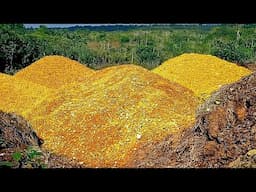 They Dump 12,000 Tons Of Orange Peels In the Forest, Years Later They Came Back And...