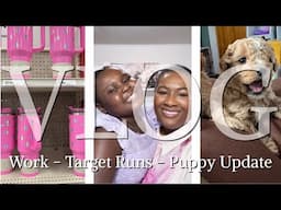 VLOG: TESTIN’ MY GANGSTA! GREEK CHICKEN BOWL/ 4 WEEK PUPPY UPDATE/ TARGET RUNS