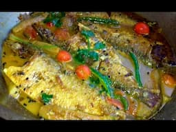 Khira Macher Jhal // Khaira Macher Recipe // Mini Hilsha Fish // Bengali Fish Recipe // Khaira Mach