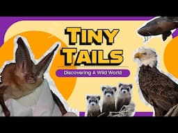 Tiny Tails Trailer