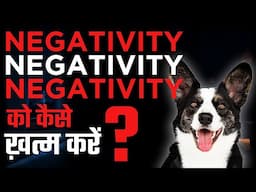 How to deal with negativity with puppy ? 🤔 | How dog and cats helps to remove Negativity ?  😱😱