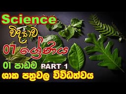 ශාකවල විවිධත්වය - ශාක පත්‍රවල විවිධත්වය | science grade 7 lesson1 part2| science sinhala medium